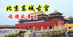 操逼抠逼淫水直流中国北京-东城古宫旅游风景区